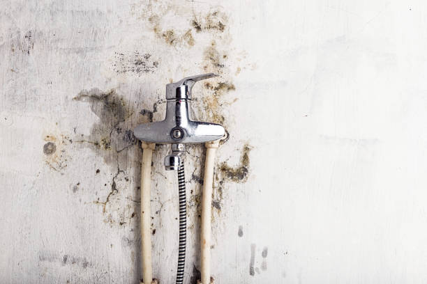 Best Mold Testing  in Wimberley, TX