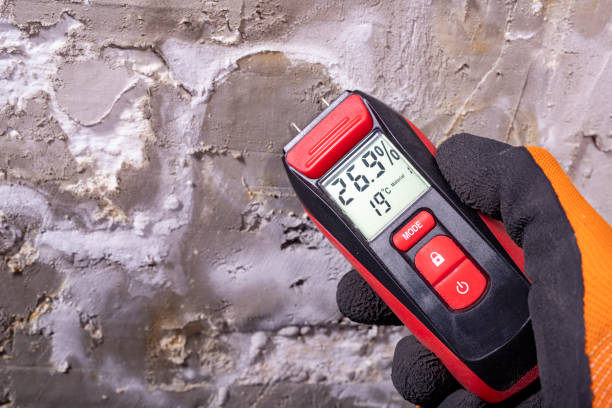 Best Best Mold Removal Companies  in Wimberley, TX