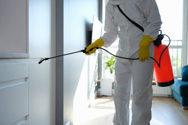 Best Certified Mold Removal  in Wimberley, TX