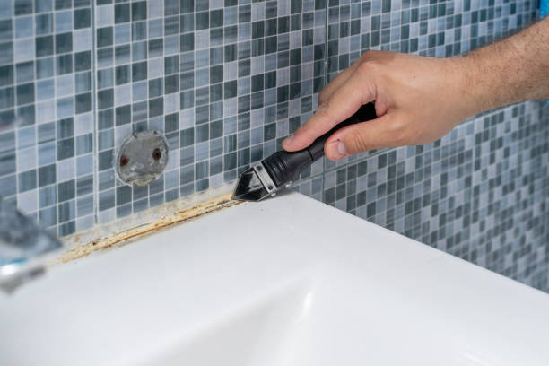 Certified Mold Removal in Wimberley, TX