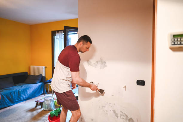 Best Affordable Mold Removal  in Wimberley, TX